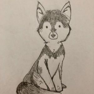 Meet your Posher, Jake